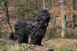 BRIARD 088